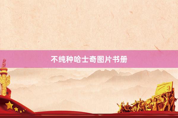 不纯种哈士奇图片书册